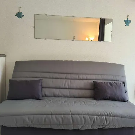Renove A 50m De La Du Mole Avec Parking Prive - Fr-1-249-398 Apartment Agde